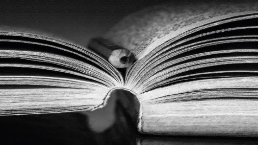 imagen Se presentará el segundo libro digital de la colección "De tesis de posgrado a libro"