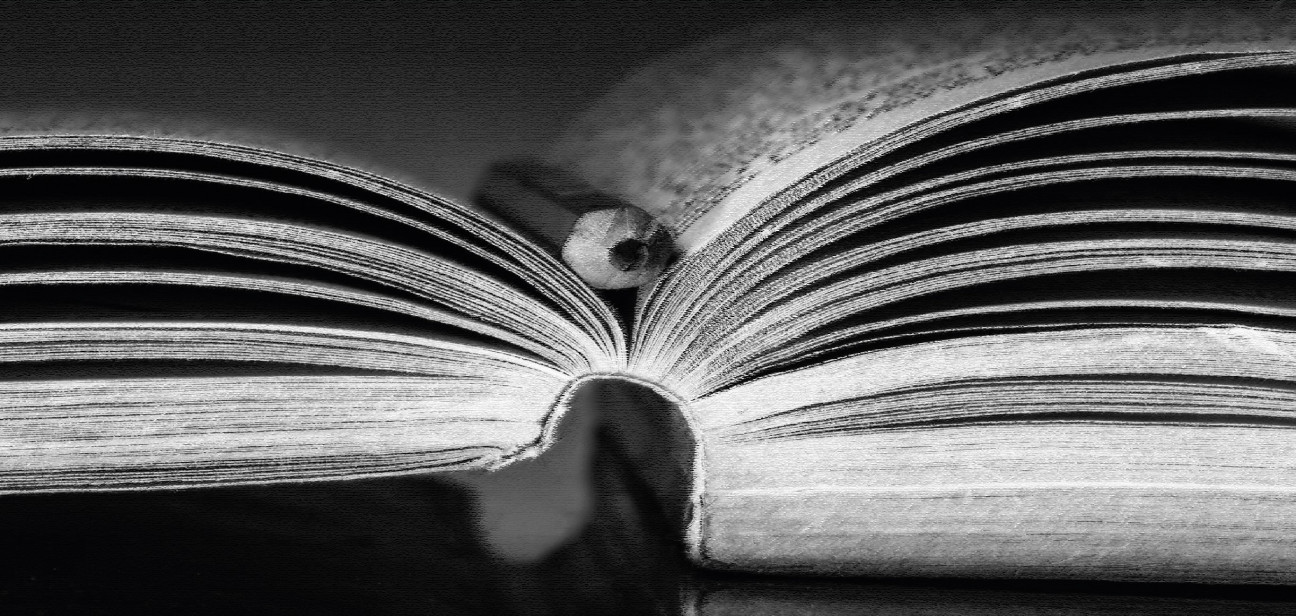 imagen Se presentará el segundo libro digital de la colección "De tesis de posgrado a libro"