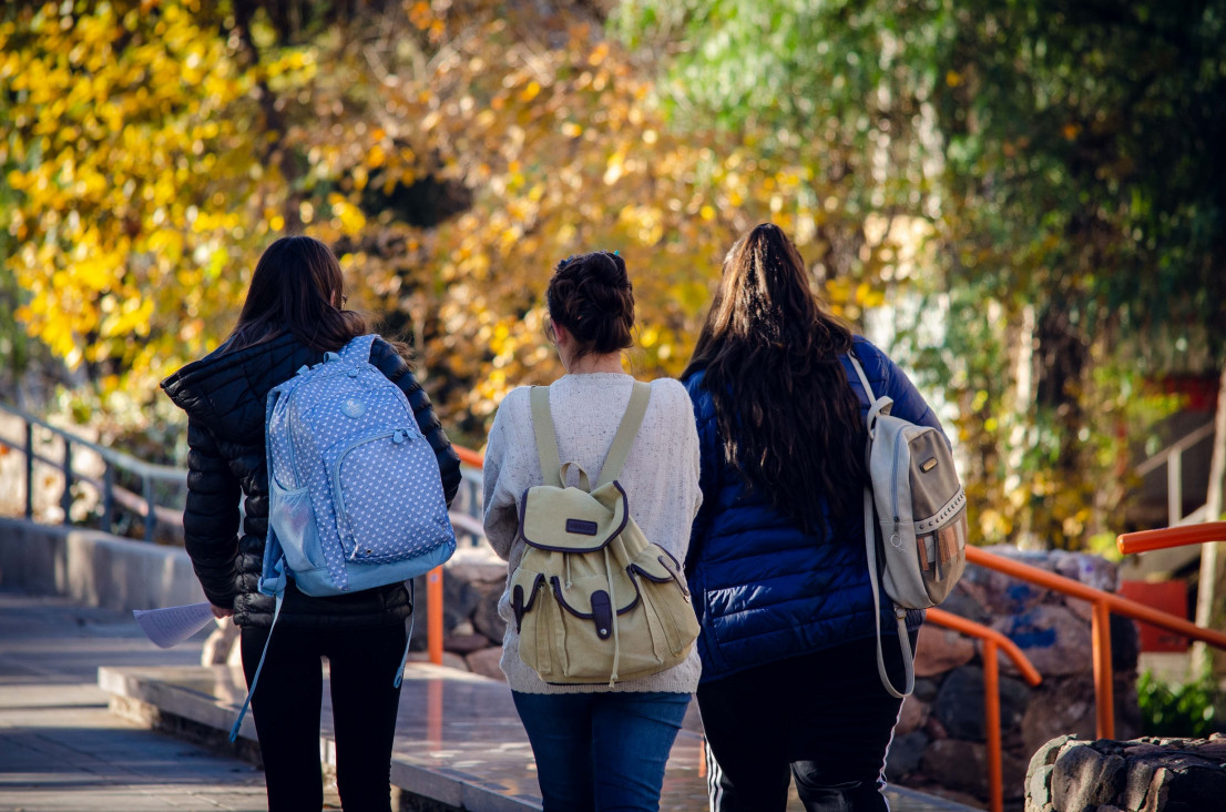 imagen Tutorías del módulo a distancia "Ser Estudiante de la UNCuyo"  (Ingreso 2020) 