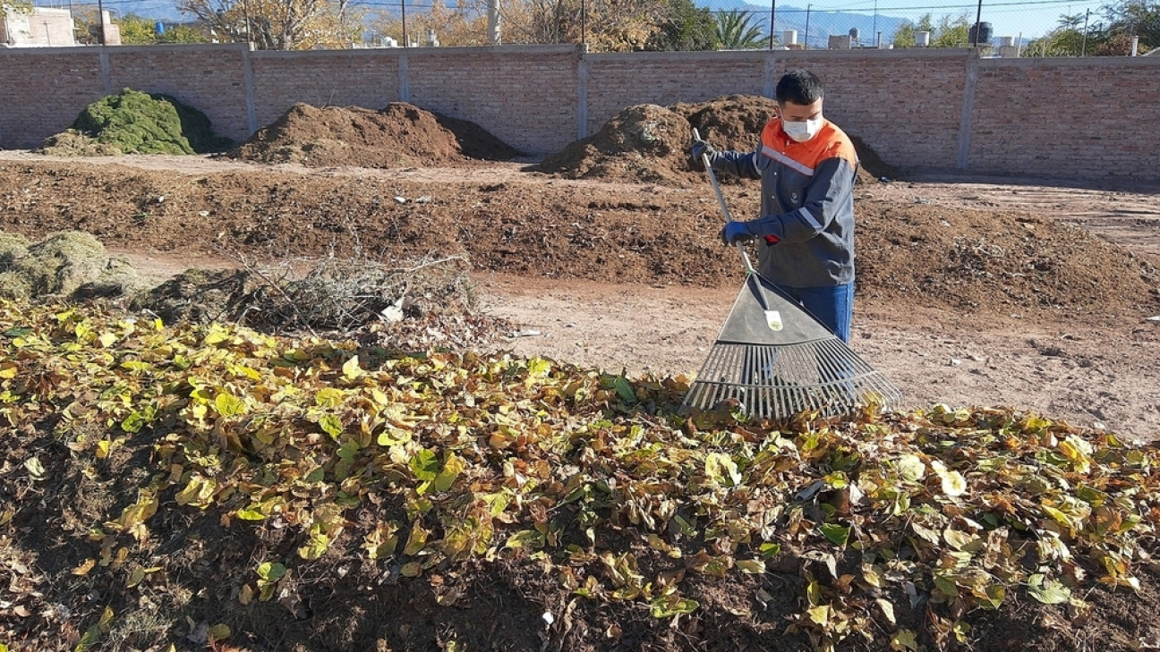 imagen Si sos estudiante y vivís en Godoy Cruz esta ecopropuesta te puede interesar