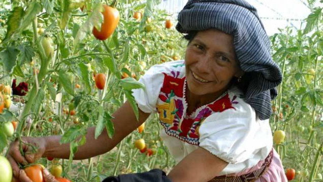 imagen "Feminismos y Soberanía Alimentaria: voces comunitarias en defensa de la vida’’