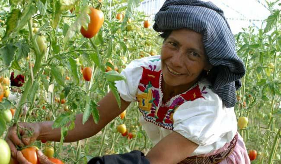 imagen "Feminismos y Soberanía Alimentaria: voces comunitarias en defensa de la vida’’