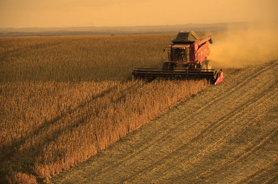 imagen Extractivismo(s), agronegocios y destrucción ambiental 